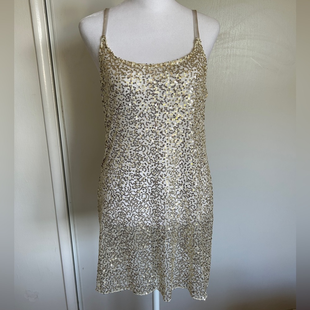 Pretty mesh sequins slip (dress)